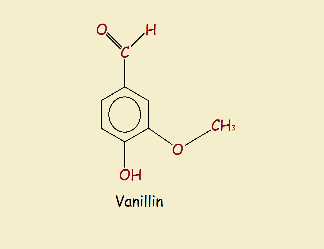 vanilla and vanillin