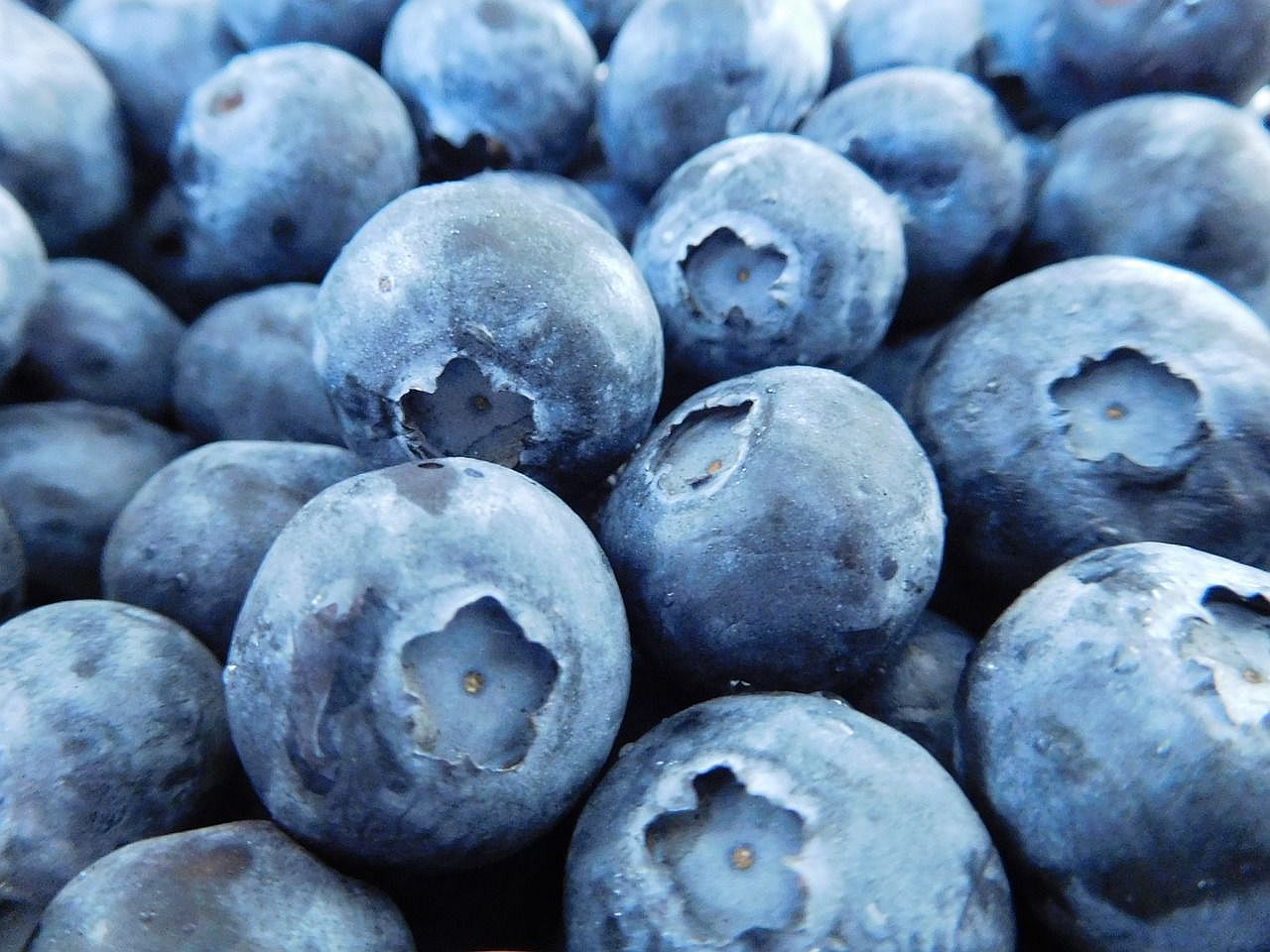 Cooked Blueberries Taste Different from Raw Why Different?