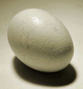 Egg - PD Image - SXC Spin that egg to determine if it is a hardboiled or a raw egg?