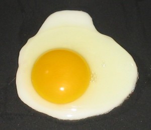 chicken egg