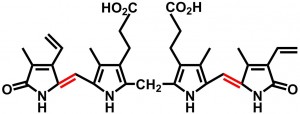 Bilirubin by Stefcho2 Urine