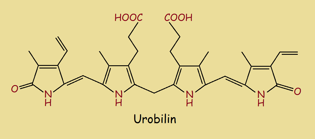 urine