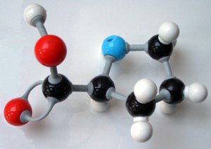 Chemical Bond - Proline - Ball and Stick Model Wikimedia CCA 2.5 by Peter Murray-Rust. 