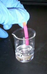 Mineral Acids turn Litmus Paper Pink - PD Image Wikimedia Commons by David Berardan