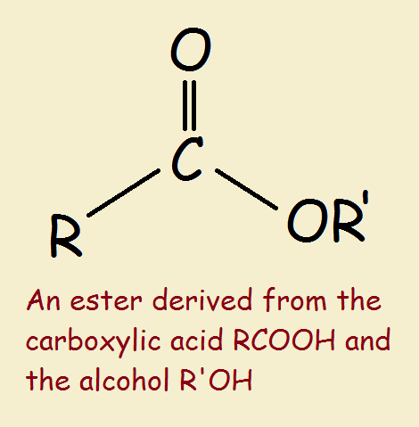 Ester 2026 Ester Molecule AusmalbilderFurKinder de Ester 2026 Ester Molecule AusmalbilderFurKinder de