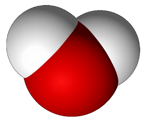 water molecule