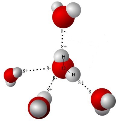 Mickey the Dipole