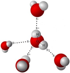 Polarity draws water molecules together.