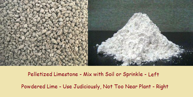Limestone and Lime