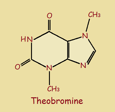 chocolate alkaloid theobromine