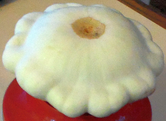 bush pan patty squash