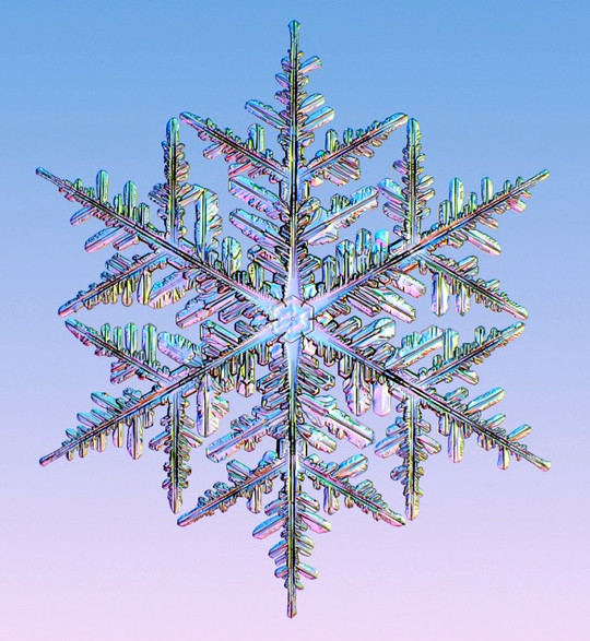 Symmetry in a Snowflake