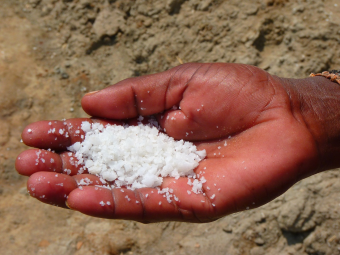 table salt and other salts