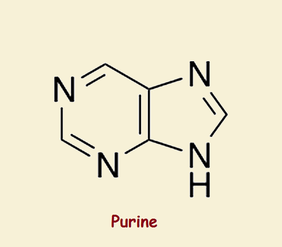 Purines and Gout