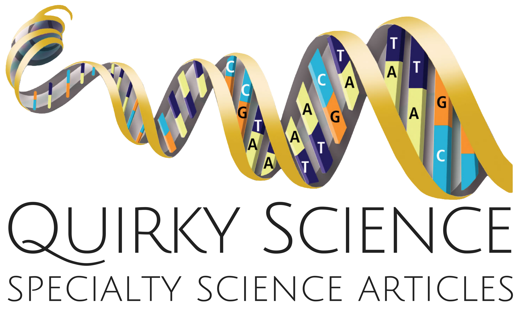 Chemical Explosions What Causes Them to Happen?