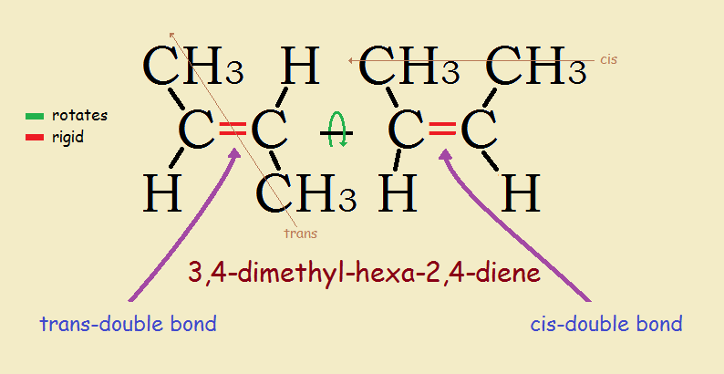 cis and trans