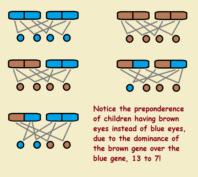 Genetic inheritance