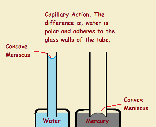 water cohesion diagram