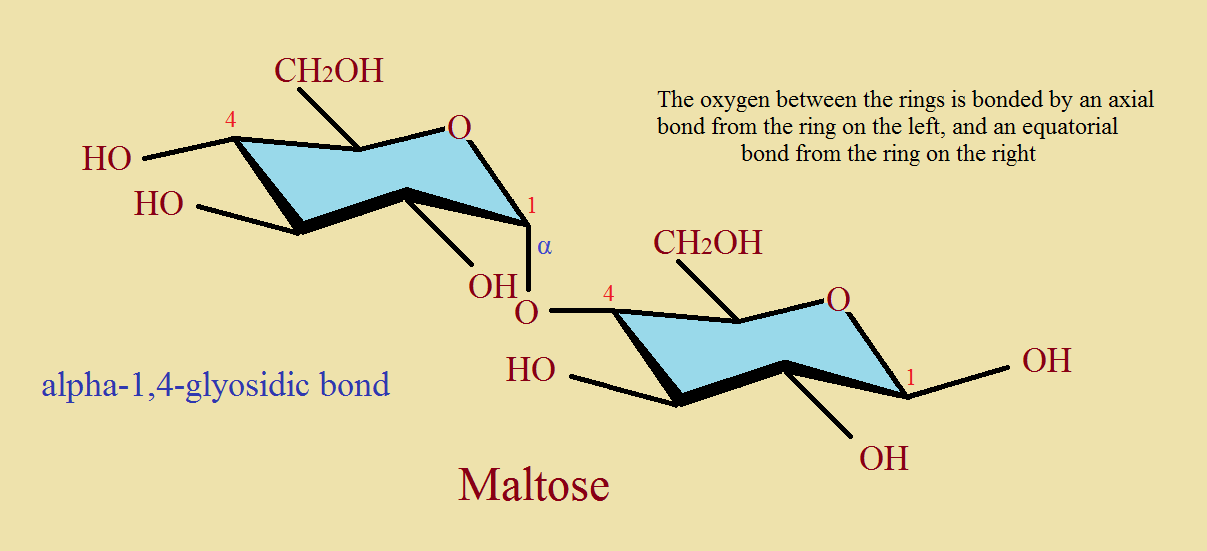 tear ingredient lysozyme