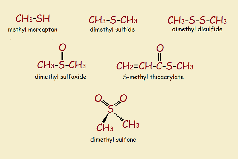 asparagusic acid 