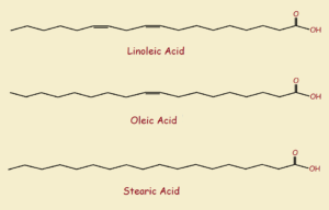 hydrogenation