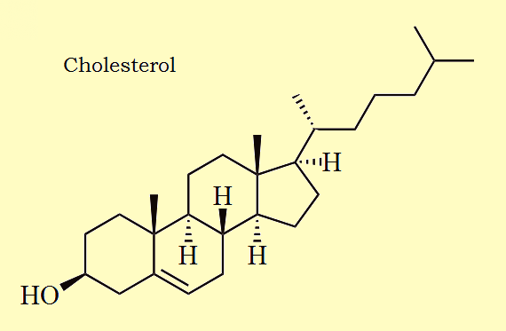 beef liver cholesterol