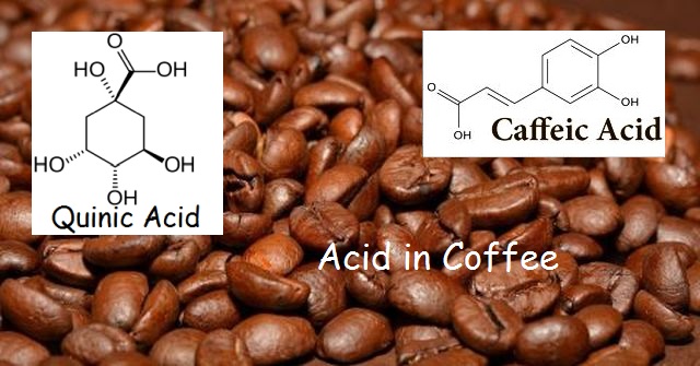 Do The Acids In Coffee Bother You Chlorogenic Acid And Derivatives