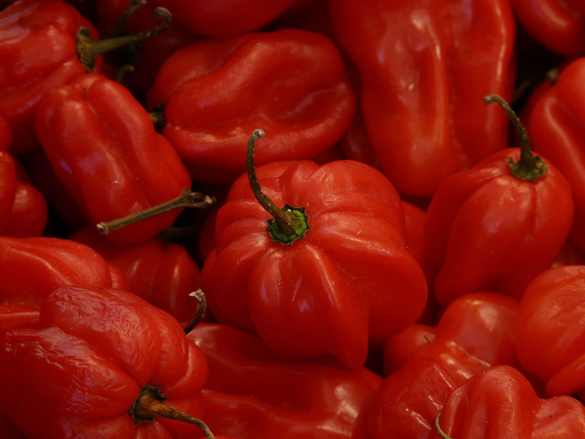 hot peppers