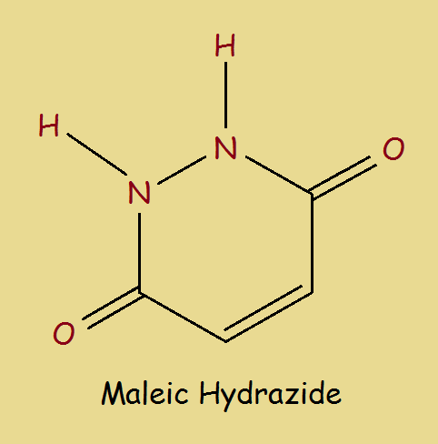eye-growth inhibitor