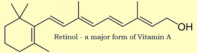 beef liver retinol (vitamin a)