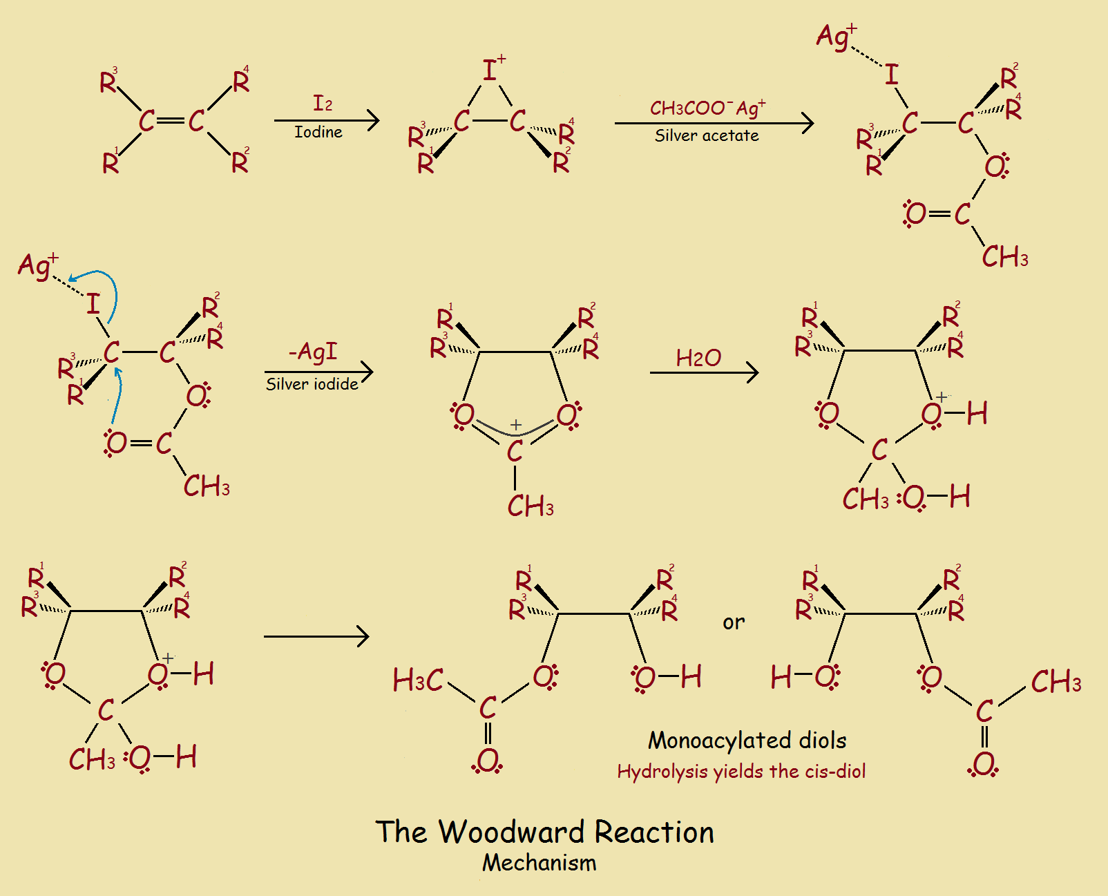 Woodward reaction mechanism