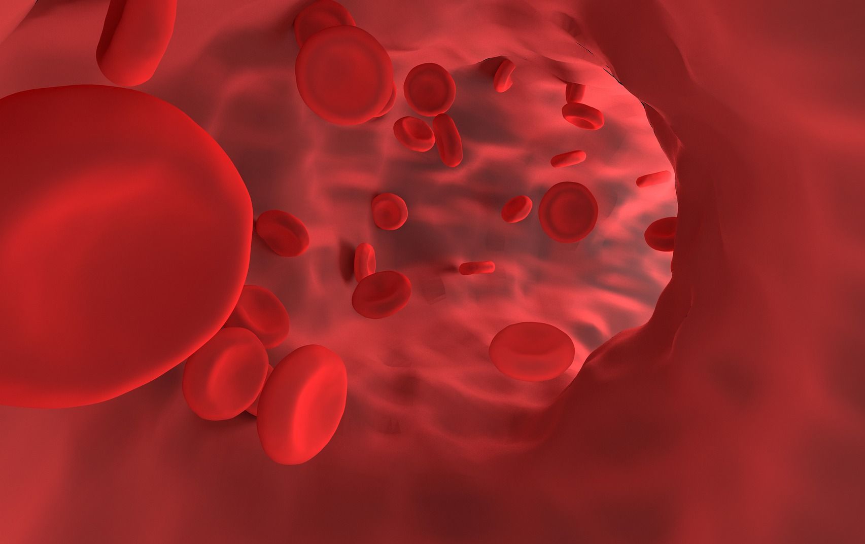 Red Blood Cells